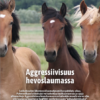Terve hevonen: digitaaliset apuvälineet ja ruokintavinkit - Image 3