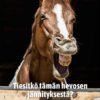 Terve hevonen: digitaaliset apuvälineet ja ruokintavinkit - Image 6