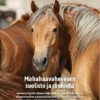 Terve hevonen: digitaaliset apuvälineet ja ruokintavinkit - Image 2