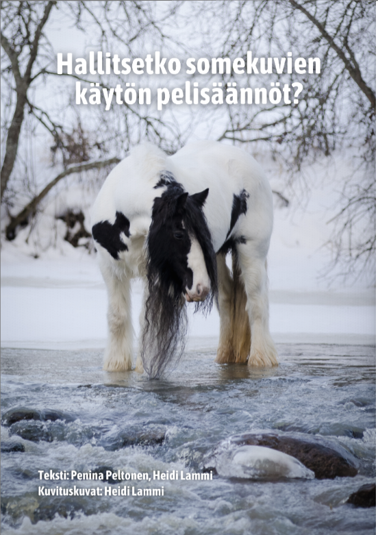 Terve hevonen: digitaaliset apuvälineet ja ruokintavinkit - Image 5