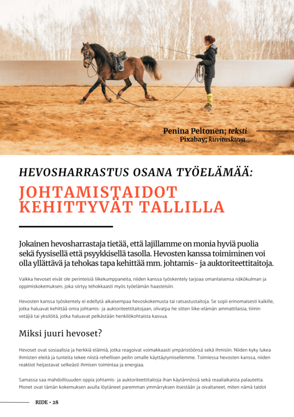 Hevosalan & ratsastuksen sosiaalinen lisenssi - digi - Image 2
